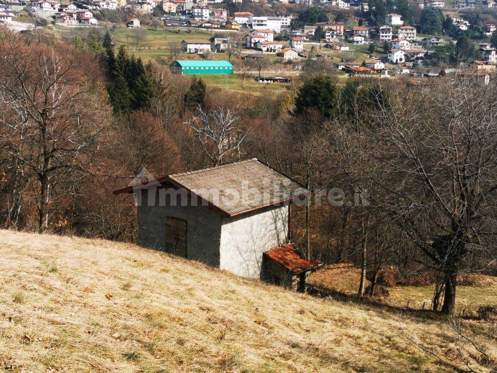 Rustico - Casale in vendita a Centro Valle Intelvi