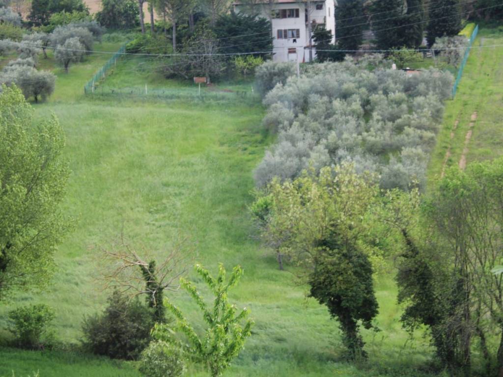 Terreno edificabile contrada morica, macerata