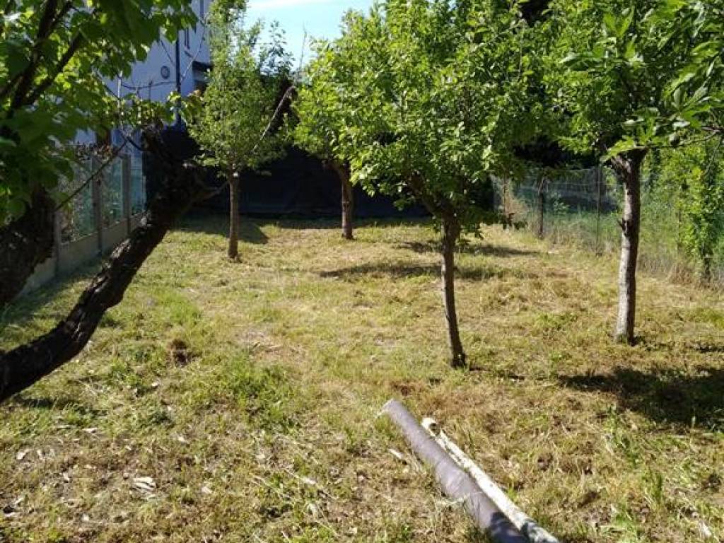 Villa a schiera 5 locali, da ristrutturare, Centro, Gualtieri