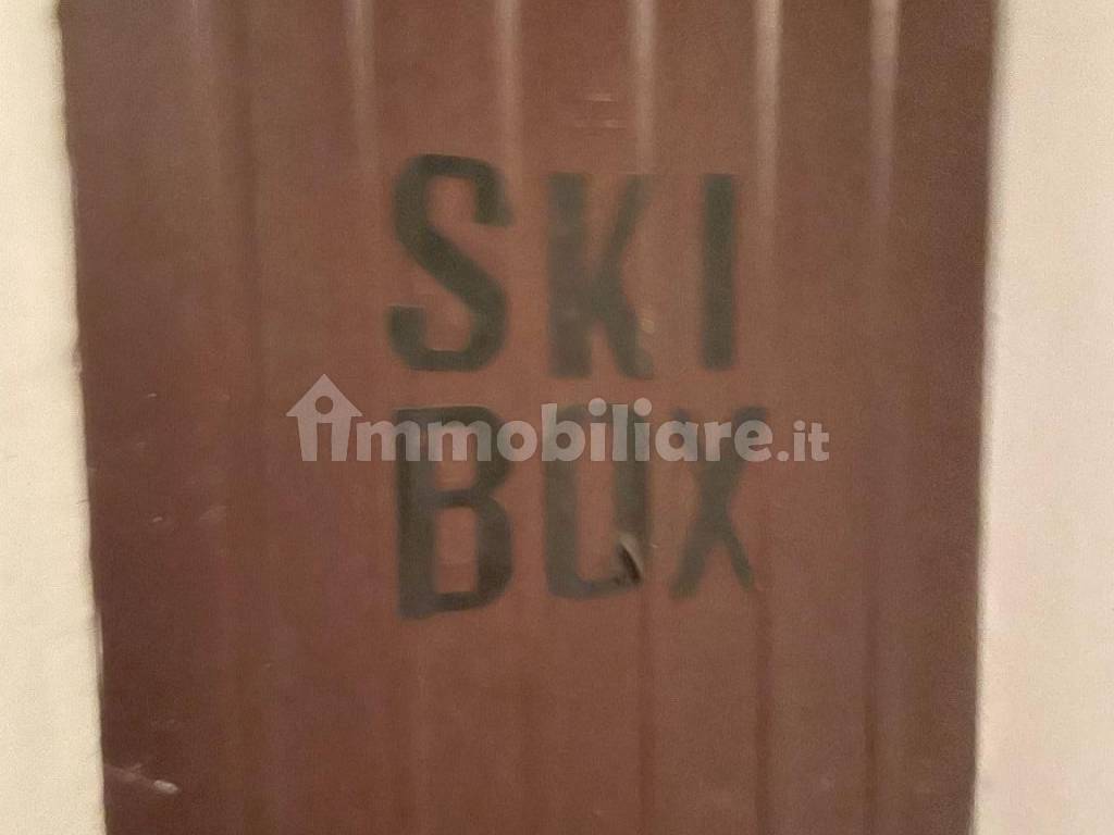 Ski box