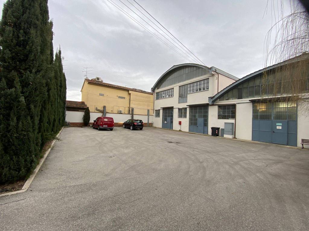 Capannone, la querce, prato