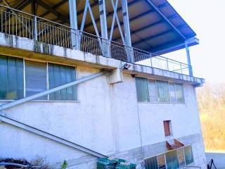 imm_30056--855.jpg