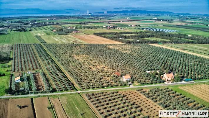 Terreno agricolo via della bonifica, piombino