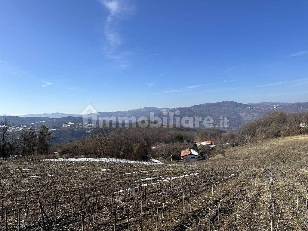 vista dal campo