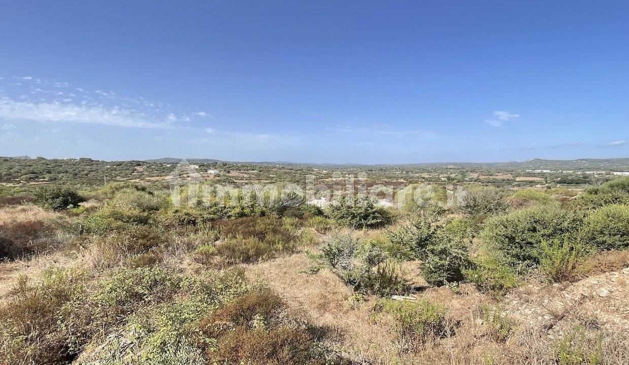 Rustico - Casale in vendita a Arzachena