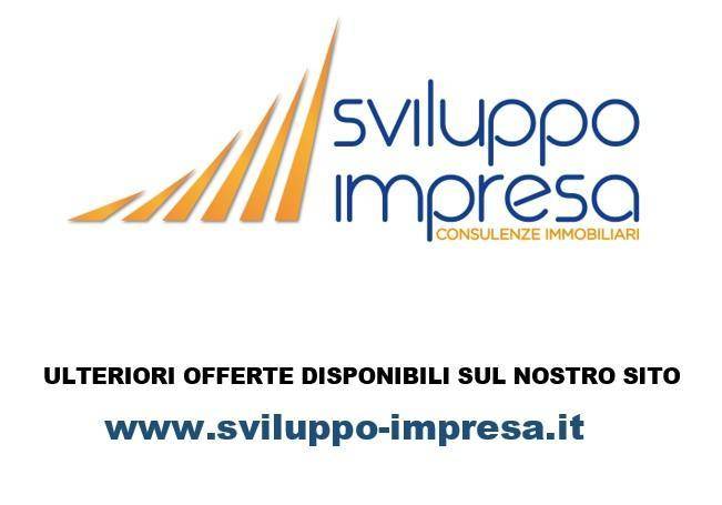 sviluppo impresa