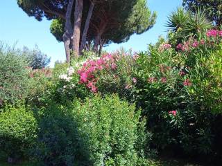 Foto - Vendita villetta con giardino, Follonica, Maremma e Argentario