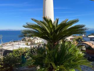 vista da terrazo