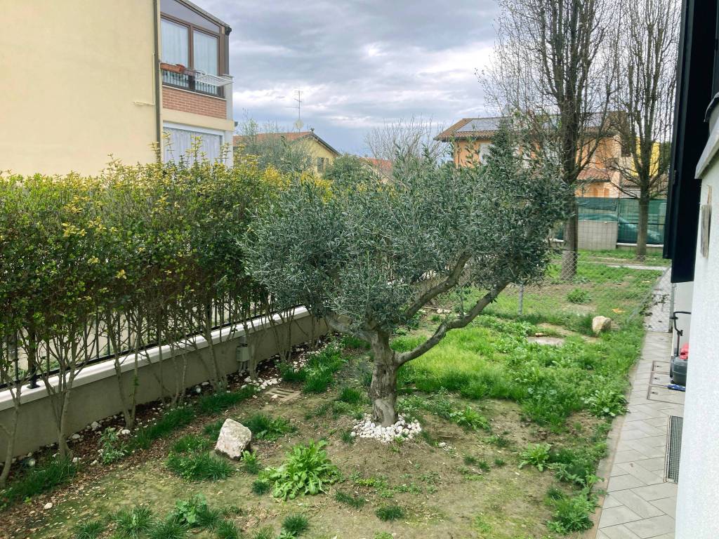 giardino fronte