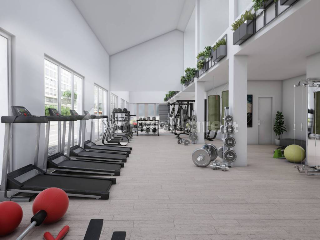 rendering sala fitness