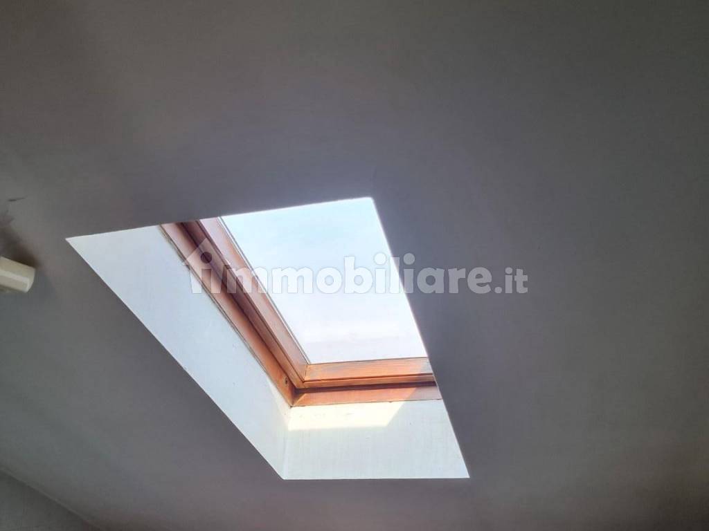 velux