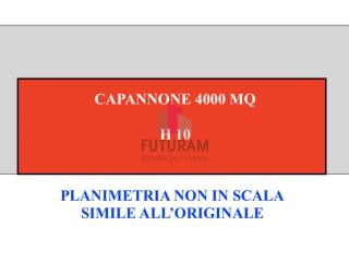 NUOVO CAPANNONE