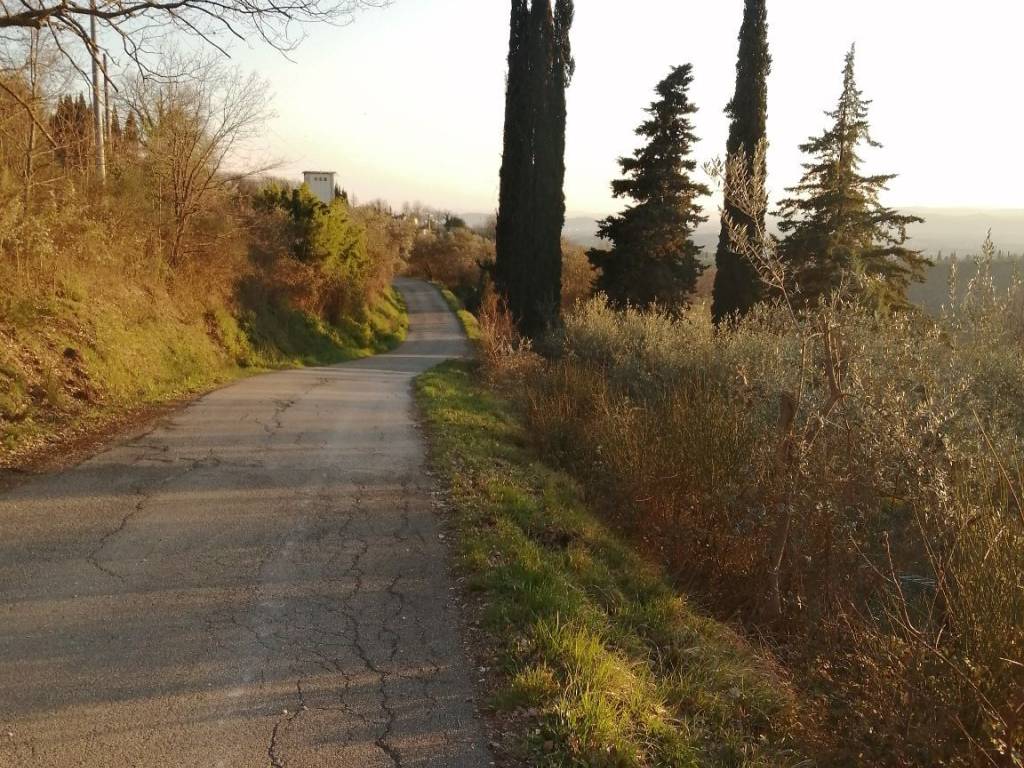 Terreno agricolo località le caselle 55, subbiano