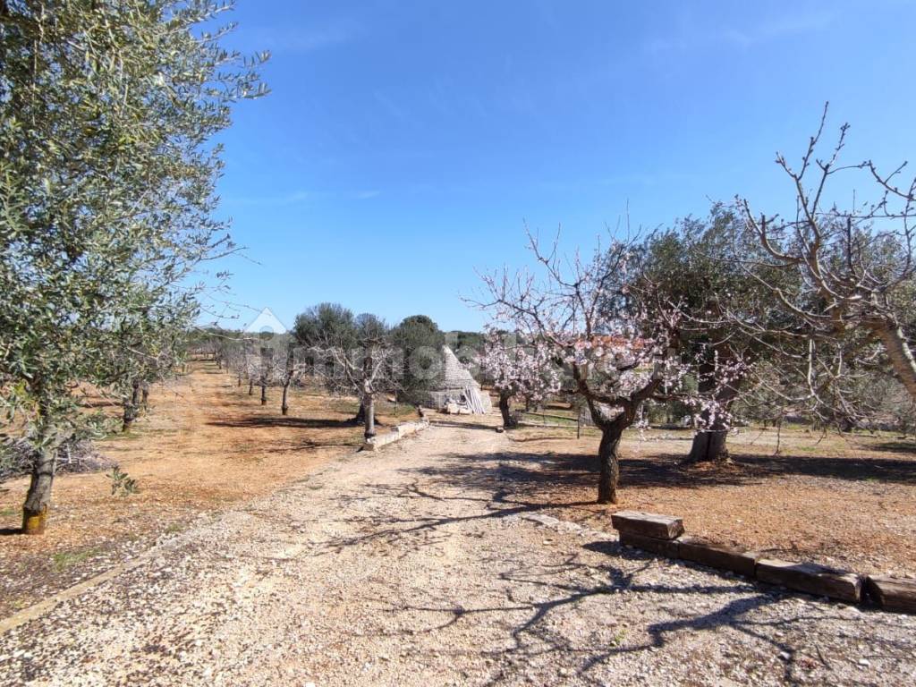 trullo-castellana