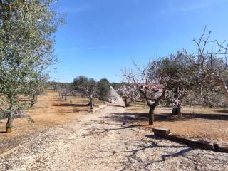 trullo-castellana