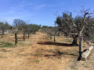 trullo-castellana