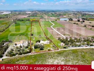 DJI_0036.jpg
