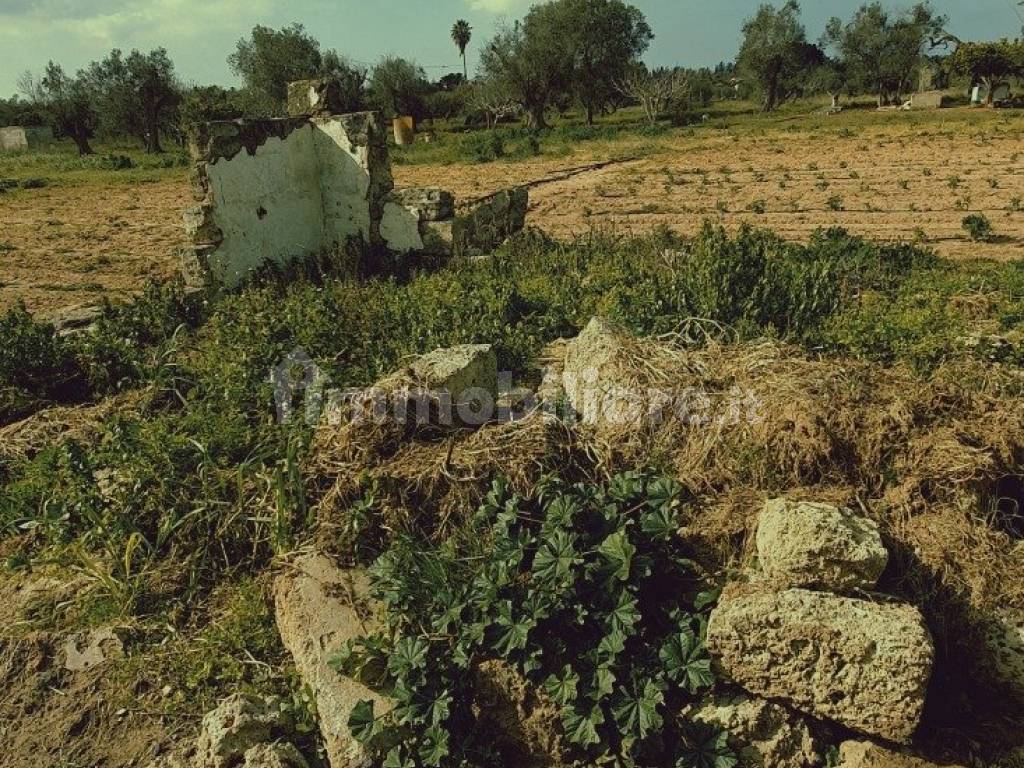 Dettagli