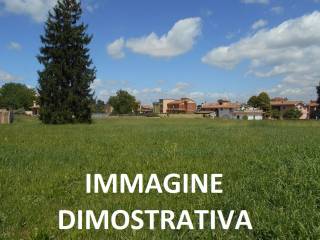 Dettagli