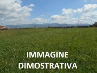 Dettagli