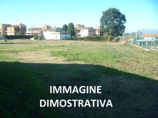 Dettagli