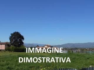 Dettagli