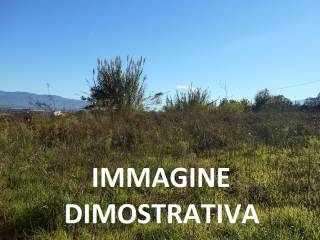Dettagli