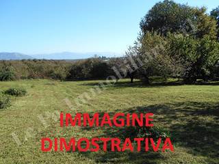 Dettagli
