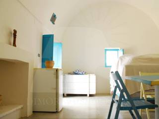 interno liama 1