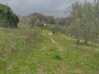 Terreno Velletri