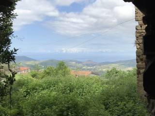 Vista