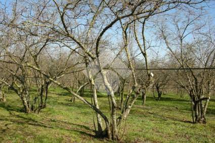 PANORAMA DEL TERRENO