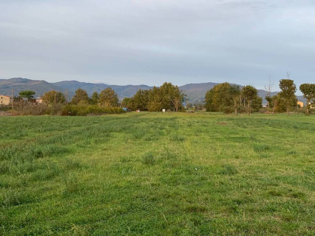 Terreno agricolo via francesco ferrucci 72, agliana