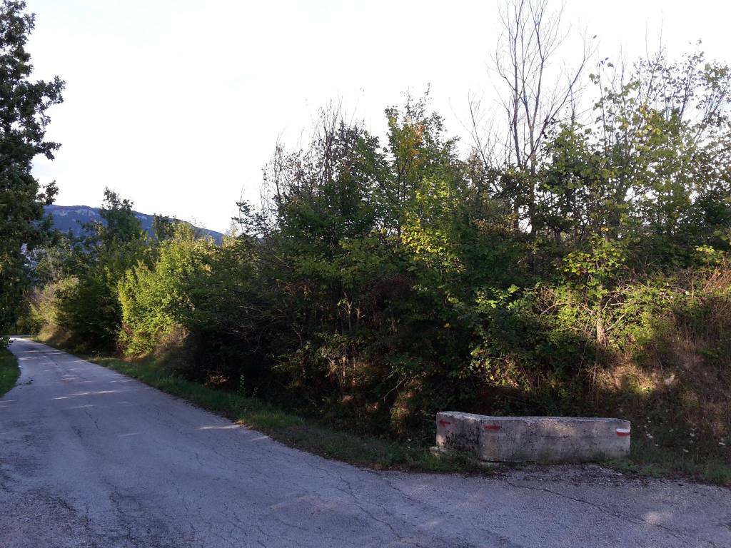 Terreno agricolo fonte sant'angelo, pettoranello del molise