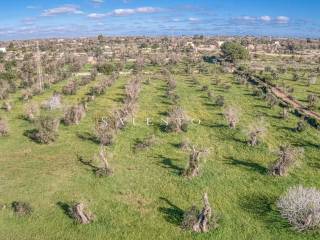 Vista aerea drone