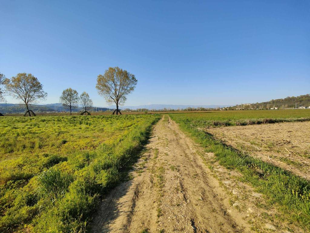 Terreno agricolo via monte nero, cattane, vicenza