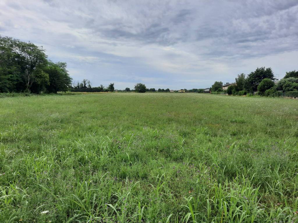 Terreno agricolo via lauzacco, viale palmanova - baldasserie, udine