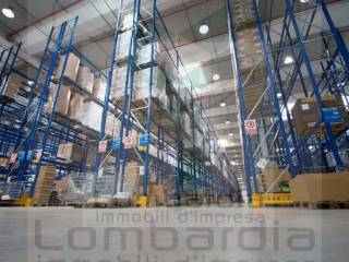 rendering logistica