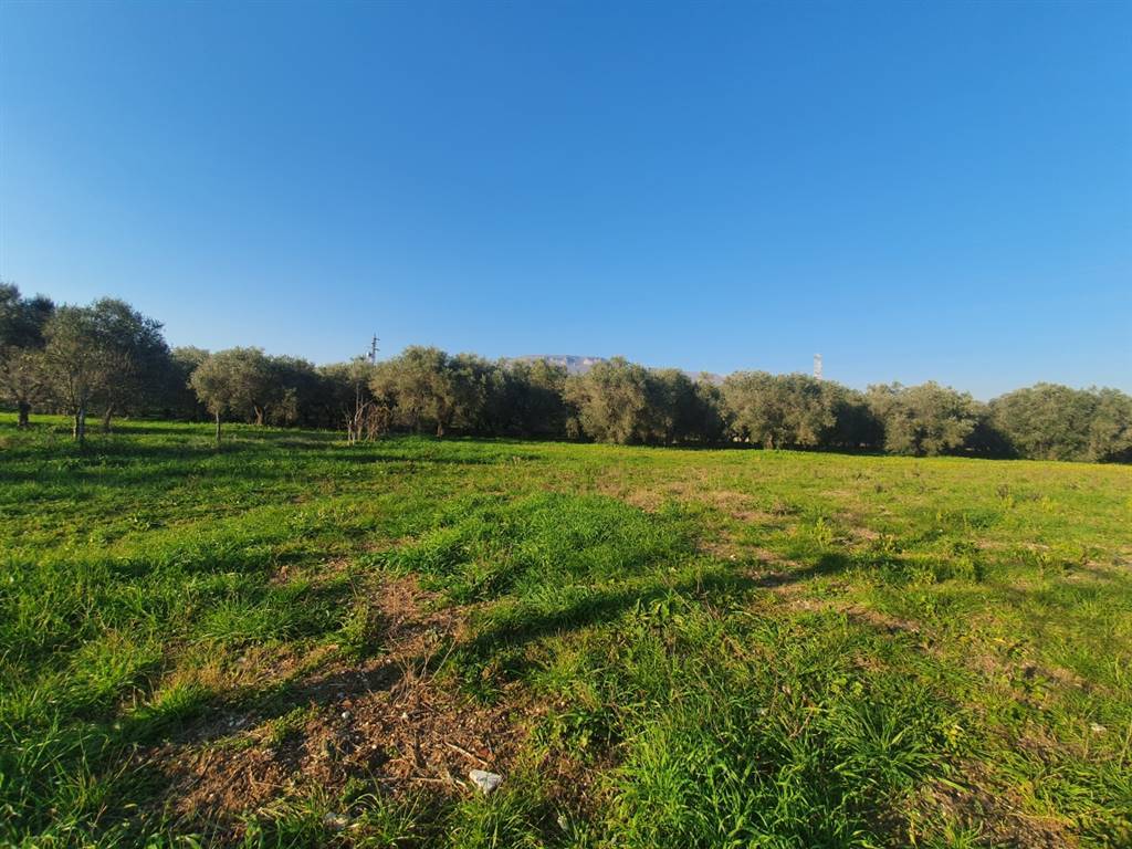 Terreno agricolo, centro, eboli
