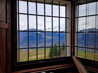 Vista
