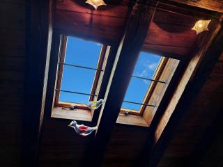 Velux