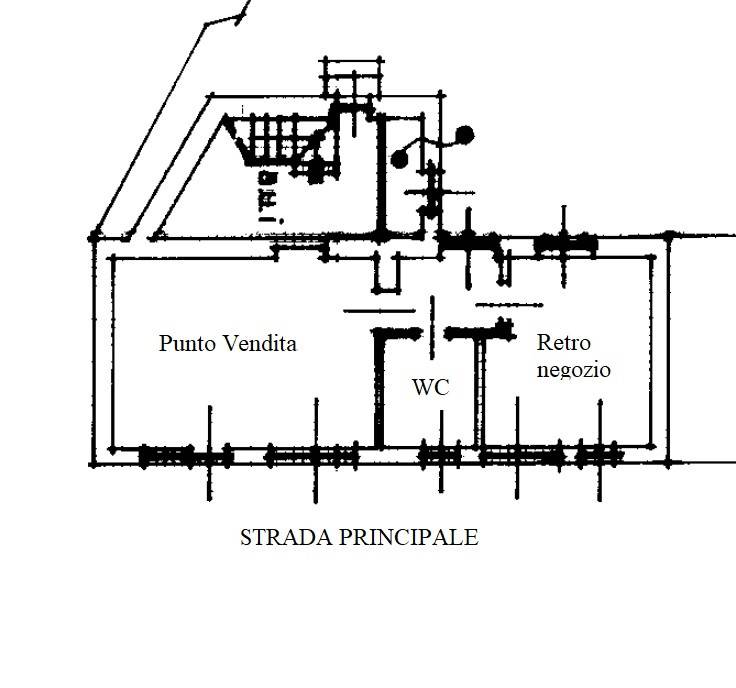 PIANTA