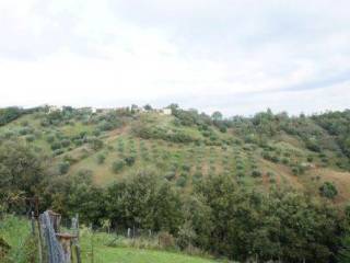 Foto4