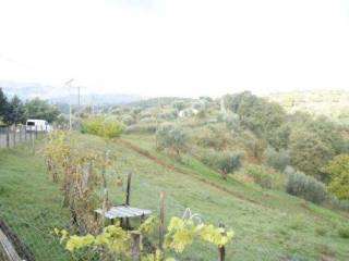 Foto10