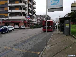 Zona