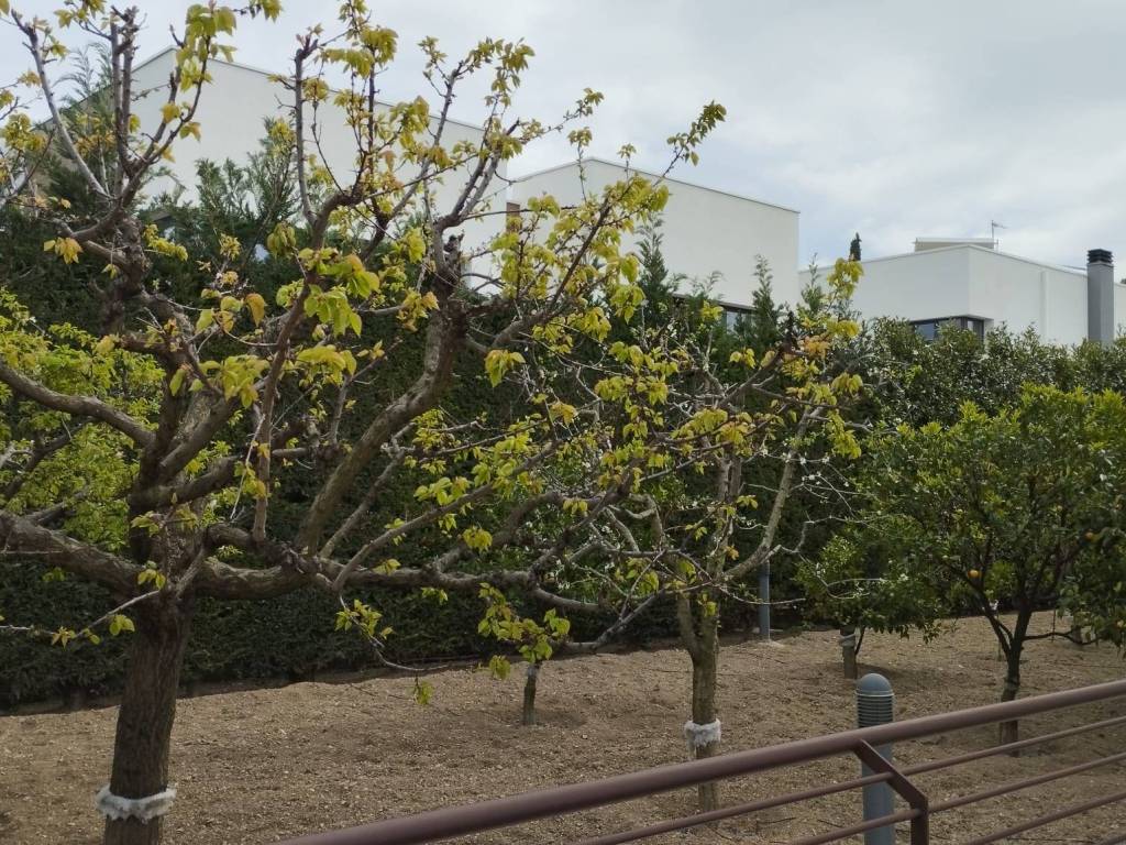 Trani - Appartamento in villa via Martiri di Palermo 59