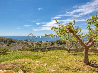 Foto - Vendita villa con giardino, Morciano di Leuca, Salento