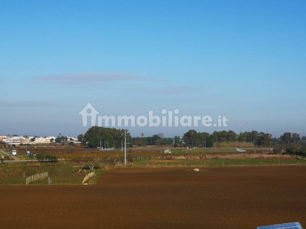 Veglie casale con sei ettari di terreno agricolo