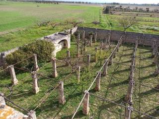 Veglie casale con sei ettari di terreno agricolo