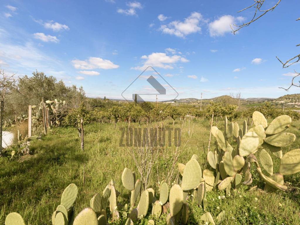 Terreno agricolo Strada Statale Sud Occidentale Sicula, Noto, rif